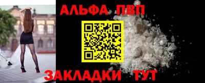 стафф Краснознаменск